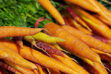 Vitamin A (Beta-Carotin) in Karotten