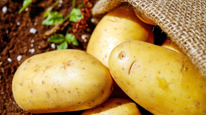Vitamin B6 in Kartoffeln
